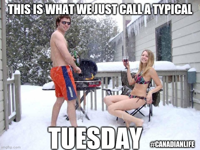 Meanwhile in Canada | THIS IS WHAT WE JUST CALL A TYPICAL; TUESDAY; #CANADIANLIFE | image tagged in meanwhile in canada | made w/ Imgflip meme maker