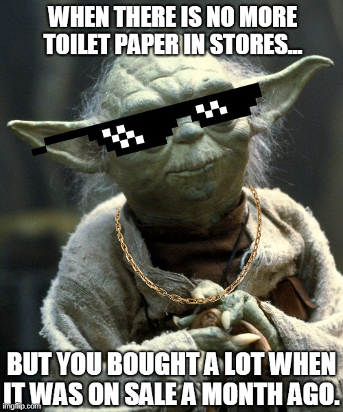 yoda chillout thug life | WHEN THERE IS NO MORE TOILET PAPER IN STORES... BUT YOU BOUGHT A LOT WHEN IT WAS ON SALE A MONTH AGO. | image tagged in yoda chillout thug life | made w/ Imgflip meme maker