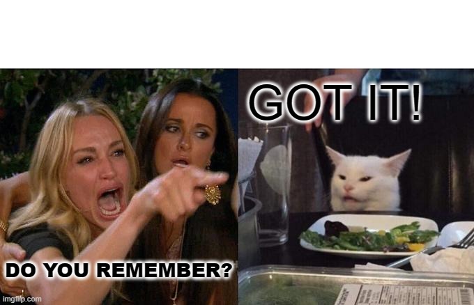 Woman Yelling At Cat | GOT IT! DO YOU REMEMBER? | image tagged in memes,woman yelling at cat | made w/ Imgflip meme maker