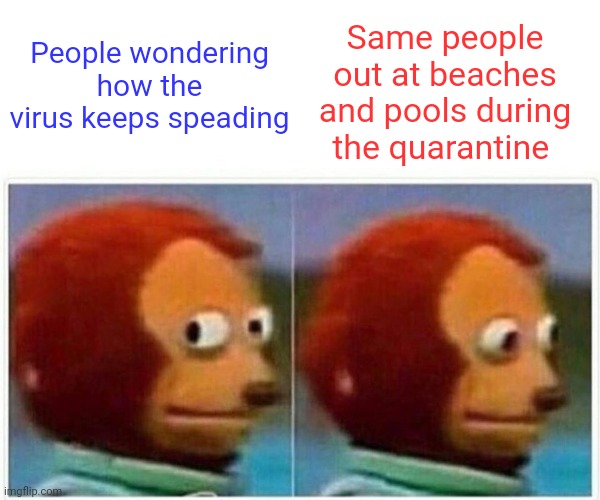 Monkey Puppet | Same people out at beaches and pools during the quarantine; People wondering how the virus keeps speading | image tagged in memes,monkey puppet | made w/ Imgflip meme maker