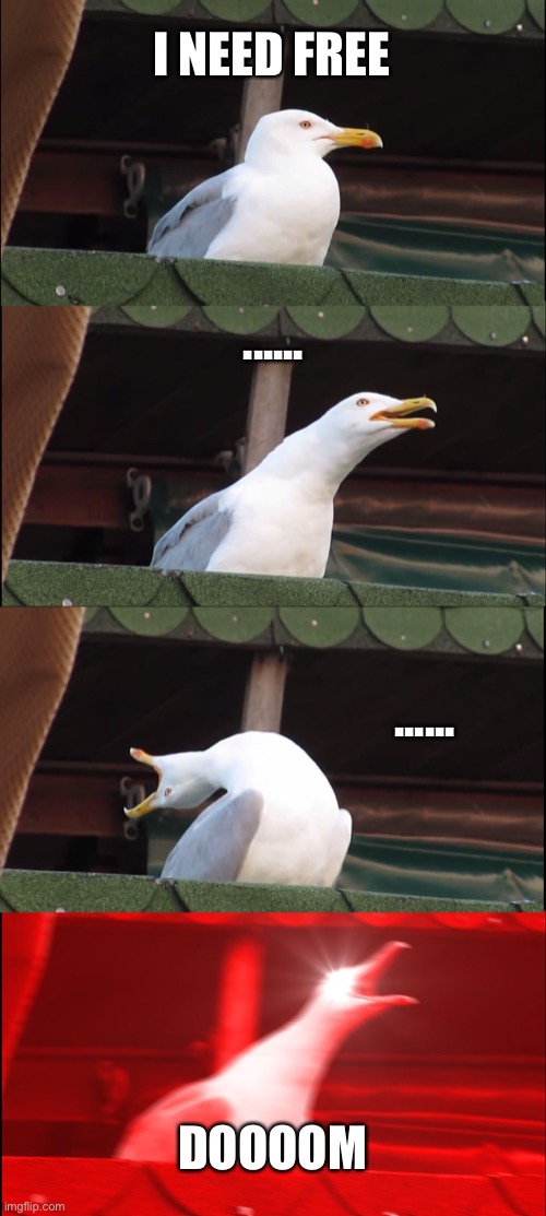 Inhaling Seagull Meme | I NEED FREE; ...... ...... DOOOOM | image tagged in memes,inhaling seagull | made w/ Imgflip meme maker