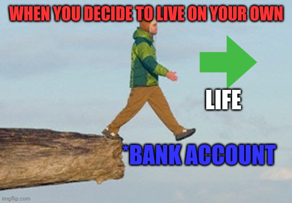 Walking off cliff | WHEN YOU DECIDE TO LIVE ON YOUR OWN; LIFE; *BANK ACCOUNT | image tagged in walking off cliff | made w/ Imgflip meme maker