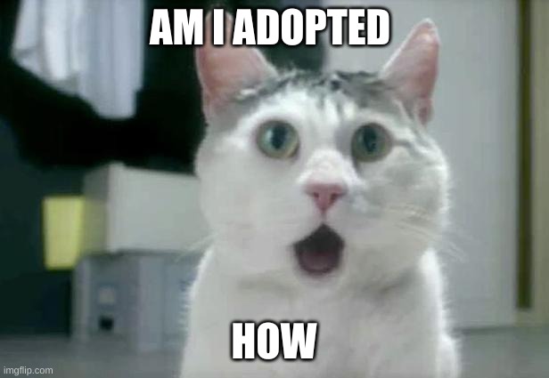 OMG Cat | AM I ADOPTED; HOW | image tagged in memes,omg cat | made w/ Imgflip meme maker