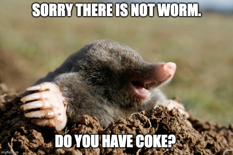 love this. Recipt of happiness,it is, how you can disagree? | SORRY THERE IS NOT WORM. DO YOU HAVE COKE? | image tagged in mole,happiness,hello | made w/ Imgflip meme maker
