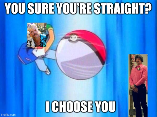 I choose you! | YOU SURE YOU’RE STRAIGHT? I CHOOSE YOU | image tagged in i choose you | made w/ Imgflip meme maker
