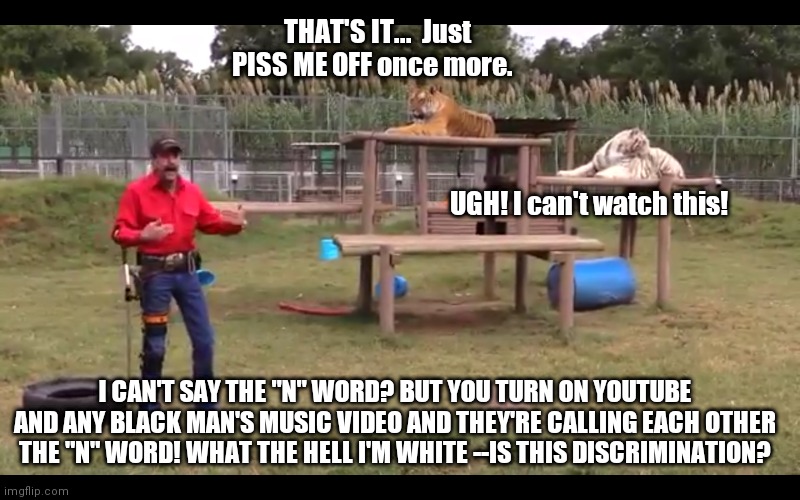 Tiger king? | THAT'S IT...  Just PISS ME OFF once more. UGH! I can't watch this! I CAN'T SAY THE "N" WORD? BUT YOU TURN ON YOUTUBE AND ANY BLACK MAN'S MUSIC VIDEO AND THEY'RE CALLING EACH OTHER THE "N" WORD! WHAT THE HELL I'M WHITE --IS THIS DISCRIMINATION? | image tagged in dark humor | made w/ Imgflip meme maker