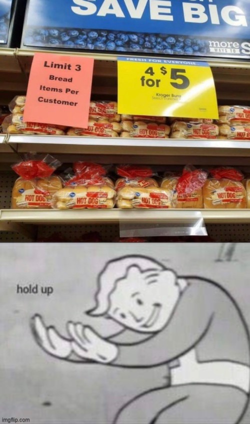 Hmmmmmm | image tagged in hold up,fallout hold up,covid-19,bread | made w/ Imgflip meme maker