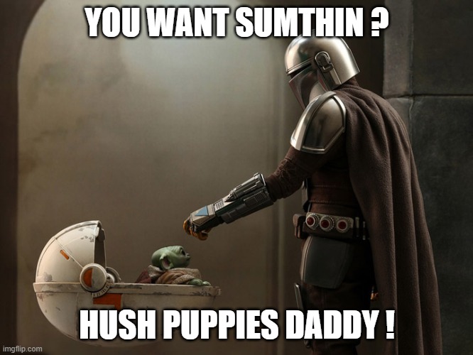 Mando and the Bandit | YOU WANT SUMTHIN ? HUSH PUPPIES DADDY ! | image tagged in fun | made w/ Imgflip meme maker