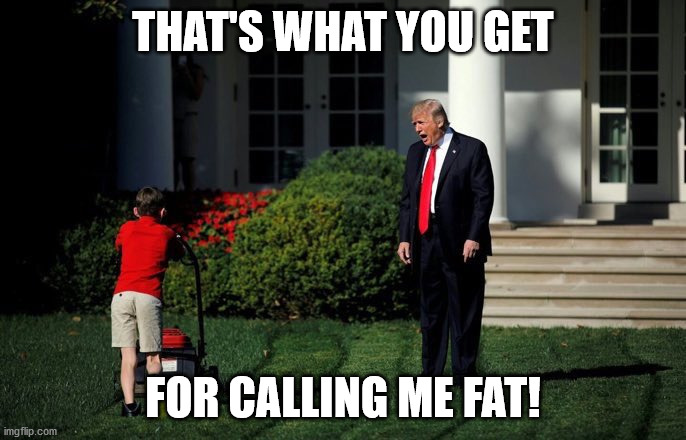 Trump Lawn Mower | THAT'S WHAT YOU GET; FOR CALLING ME FAT! | image tagged in trump lawn mower | made w/ Imgflip meme maker
