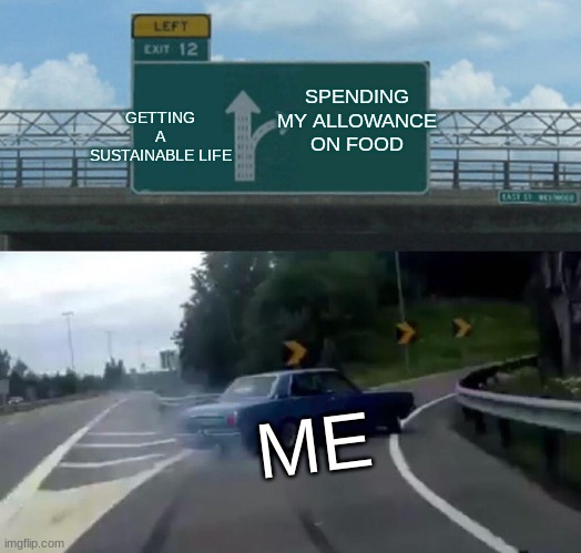 Left Exit 12 Off Ramp | SPENDING MY ALLOWANCE ON FOOD; GETTING A SUSTAINABLE LIFE; ME | image tagged in memes,left exit 12 off ramp | made w/ Imgflip meme maker