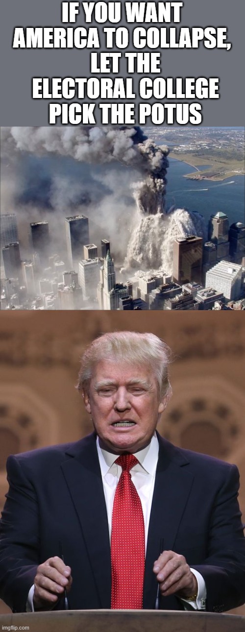 Bush and Trump, biggest collapses in the economy ever in our history, lesson learned? | LET THE ELECTORAL COLLEGE PICK THE POTUS; IF YOU WANT AMERICA TO COLLAPSE, | image tagged in donald trump,wtc collapse,maga,politics,donald trump is an idiot | made w/ Imgflip meme maker