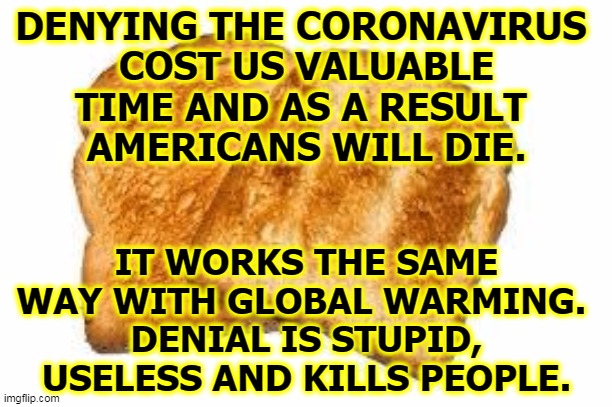 Pretending the coronavirus wasn't real didn't work. And that's how we got here. Same with climate change. | DENYING THE CORONAVIRUS 
COST US VALUABLE TIME AND AS A RESULT 
AMERICANS WILL DIE. IT WORKS THE SAME WAY WITH GLOBAL WARMING. 
DENIAL IS STUPID, USELESS AND KILLS PEOPLE. | image tagged in toast,denial,stupid,dumb,useless,idiots | made w/ Imgflip meme maker