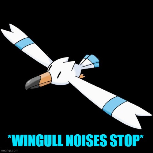 *WINGULL NOISES STOP* | image tagged in hydro the wingull | made w/ Imgflip meme maker