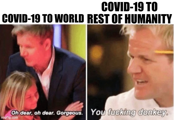 How covid-19 threats earth vs how it threats humanity | COVID-19 TO REST OF HUMANITY; COVID-19 TO WORLD | image tagged in gordon ramsey talking to kids vs talking to adults | made w/ Imgflip meme maker
