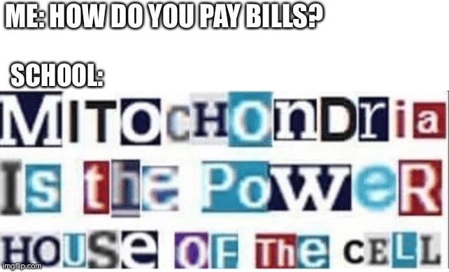 ME: HOW DO YOU PAY BILLS? SCHOOL: | image tagged in memes,school,funny,stop reading the tags,reader says what | made w/ Imgflip meme maker