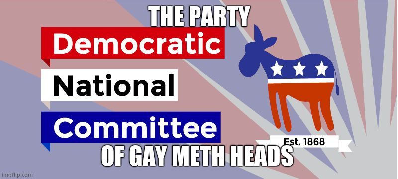 DNC | THE PARTY OF GAY METH HEADS | image tagged in dnc | made w/ Imgflip meme maker