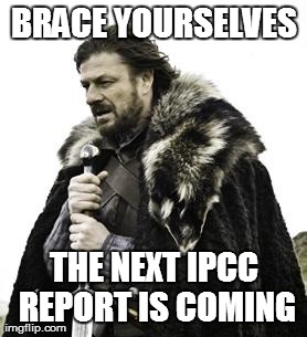 ned stark | BRACE YOURSELVES THE NEXT IPCC REPORT IS COMING | image tagged in ned stark | made w/ Imgflip meme maker