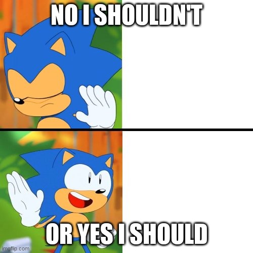 Sonic Mania  | NO I SHOULDN'T; OR YES I SHOULD | image tagged in sonic mania | made w/ Imgflip meme maker
