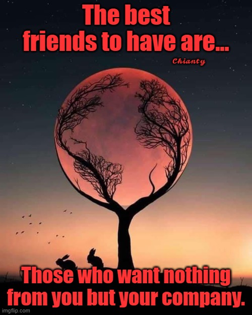 Friends | The best friends to have are... 𝓒𝓱𝓲𝓪𝓷𝓽𝔂; Those who want nothing from you but your company. | image tagged in company | made w/ Imgflip meme maker