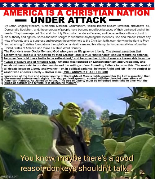 BUT MUH CHRISTIAN  THEOCRACY. | image tagged in maybe there's a good reason donkeys shouldn't talk,memes,funny,politics,shrek | made w/ Imgflip meme maker