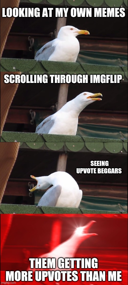 Inhaling Seagull Meme | LOOKING AT MY OWN MEMES; SCROLLING THROUGH IMGFLIP; SEEING UPVOTE BEGGARS; THEM GETTING MORE UPVOTES THAN ME | image tagged in memes,inhaling seagull | made w/ Imgflip meme maker