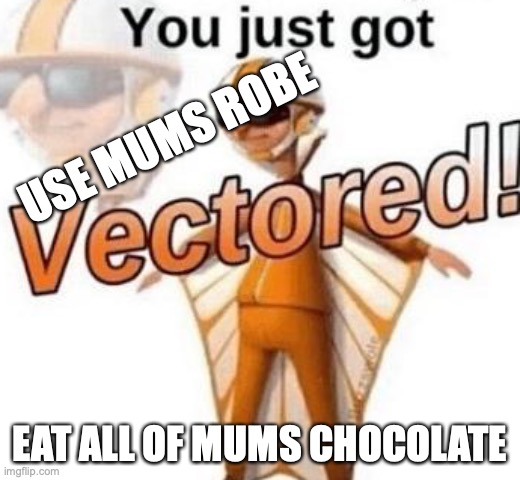 You just got vectored | USE MUMS ROBE; EAT ALL OF MUMS CHOCOLATE | image tagged in you just got vectored | made w/ Imgflip meme maker