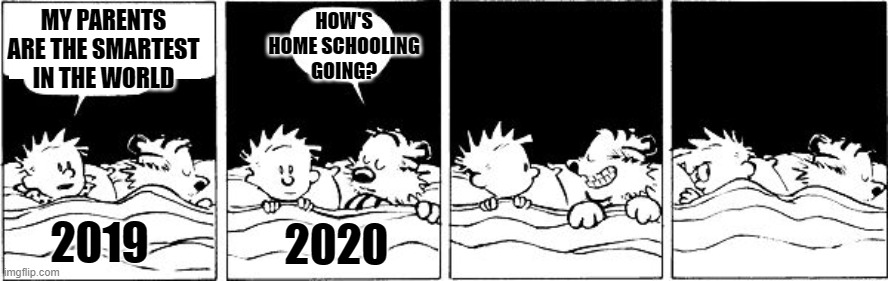 Bubble Burster (Calvin and Hobbes) | MY PARENTS ARE THE SMARTEST IN THE WORLD; HOW'S HOME SCHOOLING GOING? 2019; 2020 | image tagged in bubble burster calvin and hobbes | made w/ Imgflip meme maker