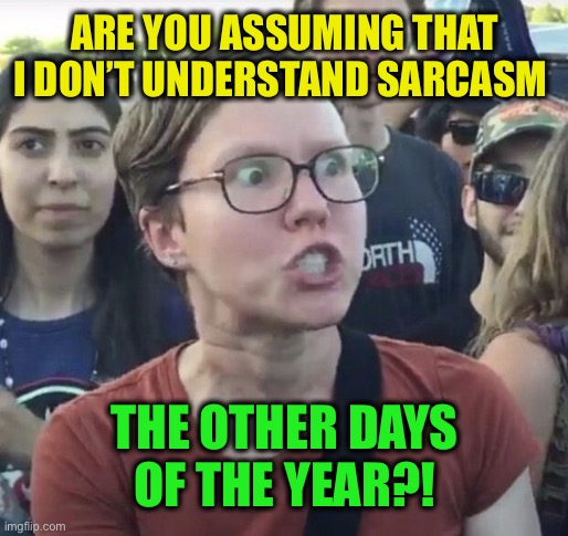 Triggered feminist | ARE YOU ASSUMING THAT I DON’T UNDERSTAND SARCASM THE OTHER DAYS OF THE YEAR?! | image tagged in triggered feminist | made w/ Imgflip meme maker