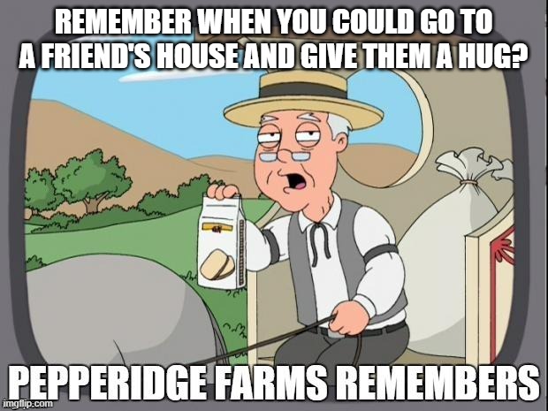 Covid Hugs | REMEMBER WHEN YOU COULD GO TO A FRIEND'S HOUSE AND GIVE THEM A HUG? | image tagged in pepperidge farms remembers | made w/ Imgflip meme maker