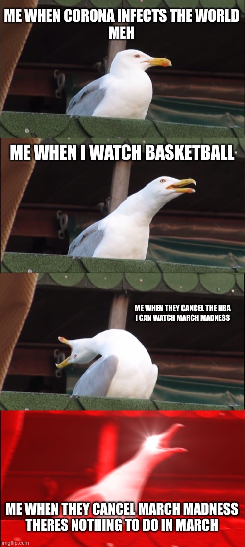 Inhaling Seagull Meme | ME WHEN CORONA INFECTS THE WORLD
MEH; ME WHEN I WATCH BASKETBALL; ME WHEN THEY CANCEL THE NBA

I CAN WATCH MARCH MADNESS; ME WHEN THEY CANCEL MARCH MADNESS

THERES NOTHING TO DO IN MARCH | image tagged in memes,inhaling seagull | made w/ Imgflip meme maker