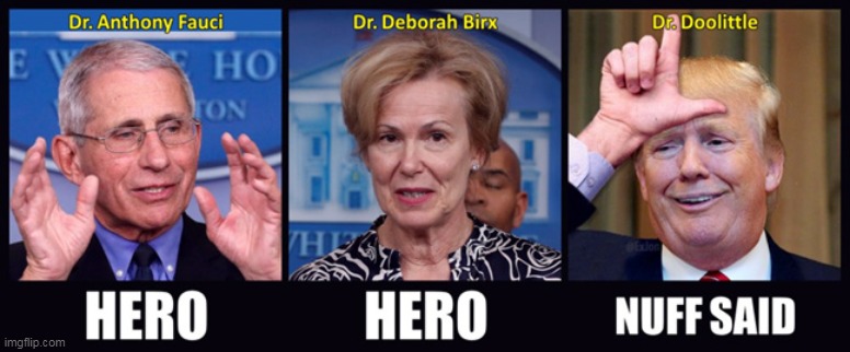 Heroes 2 ~ Zeros 1 | image tagged in memes,coronavirus,donald trump,dr fauci,dr birx,hero | made w/ Imgflip meme maker
