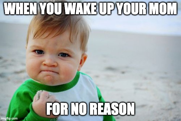 Success Kid Original | WHEN YOU WAKE UP YOUR MOM; FOR NO REASON | image tagged in memes,success kid original | made w/ Imgflip meme maker