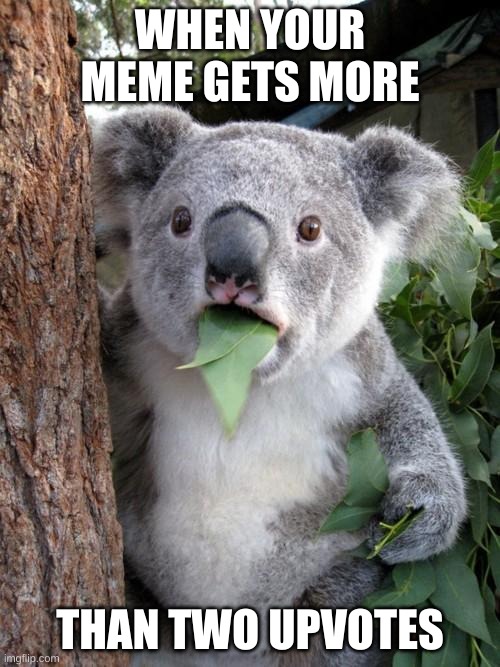Surprised Koala Meme | WHEN YOUR MEME GETS MORE; THAN TWO UPVOTES | image tagged in memes,surprised koala | made w/ Imgflip meme maker