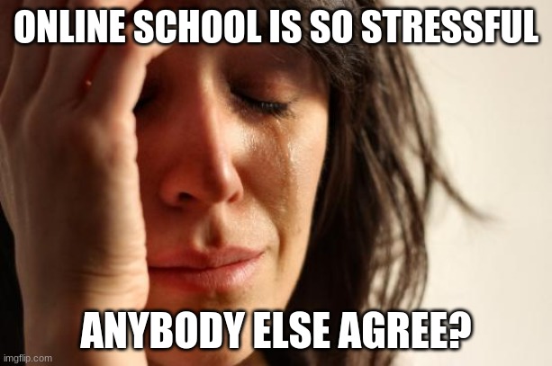 First World Problems Meme | ONLINE SCHOOL IS SO STRESSFUL; ANYBODY ELSE AGREE? | image tagged in memes,first world problems | made w/ Imgflip meme maker