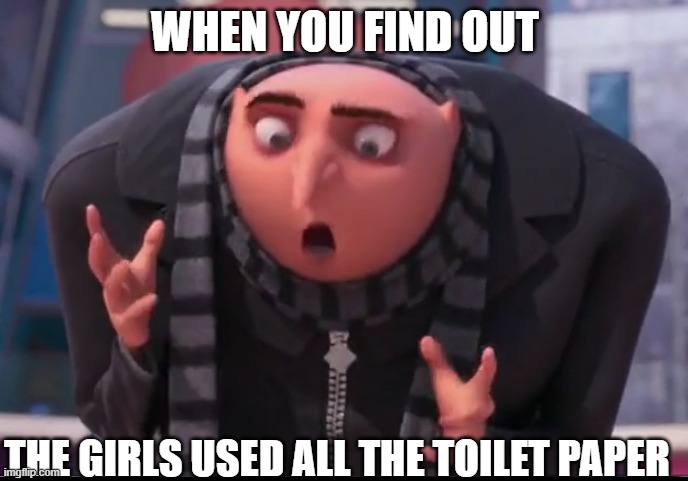gru are you out of your gourd? | WHEN YOU FIND OUT; THE GIRLS USED ALL THE TOILET PAPER | image tagged in gru are you out of your gourd | made w/ Imgflip meme maker