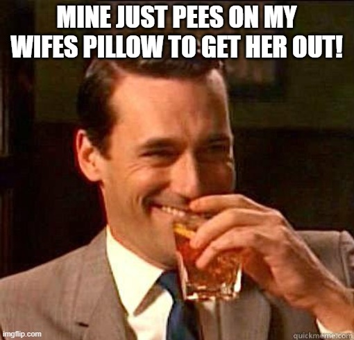 Laughing Don Draper | MINE JUST PEES ON MY WIFES PILLOW TO GET HER OUT! | image tagged in laughing don draper | made w/ Imgflip meme maker