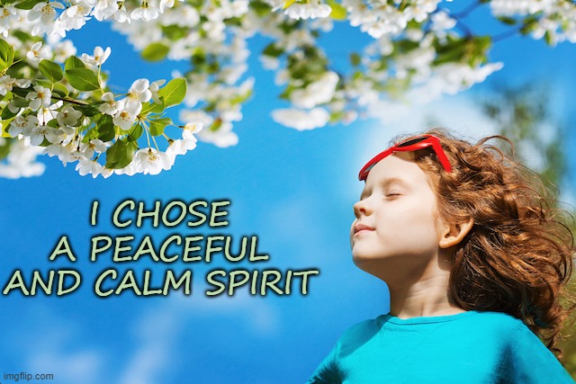 I Chose a Calm Spirit | I CHOSE A PEACEFUL AND CALM SPIRIT | image tagged in affirmation,peaceful,calm,calm spirt | made w/ Imgflip meme maker