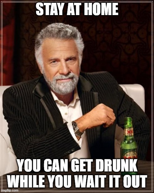 The Most Interesting Man In The World | STAY AT HOME; YOU CAN GET DRUNK WHILE YOU WAIT IT OUT | image tagged in memes,the most interesting man in the world | made w/ Imgflip meme maker
