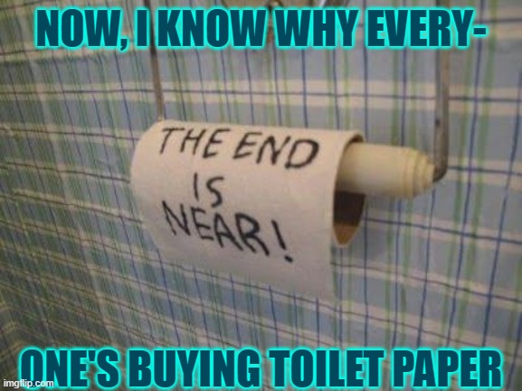 Toilet Caper: smelly vapor, feel it taper, Uh-Oh! I am Out of Paper | NOW, I KNOW WHY EVERY-; ONE'S BUYING TOILET PAPER | image tagged in vince vance,the end is near,no more toilet paper,wipe,tp,butts | made w/ Imgflip meme maker