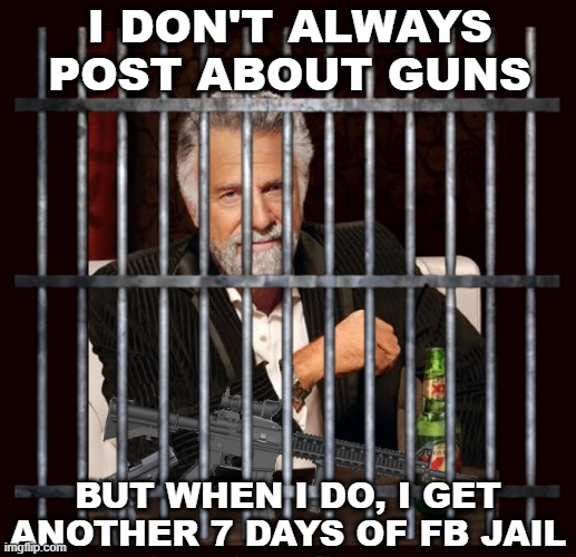 FB Jail | I DON'T ALWAYS POST ABOUT GUNS; BUT WHEN I DO, I GET ANOTHER 7 DAYS OF FB JAIL | image tagged in jail,i don't always,the most interesting man in the world | made w/ Imgflip meme maker