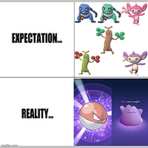 Expectation vs Reality | image tagged in expectation vs reality,pokemongo | made w/ Imgflip meme maker
