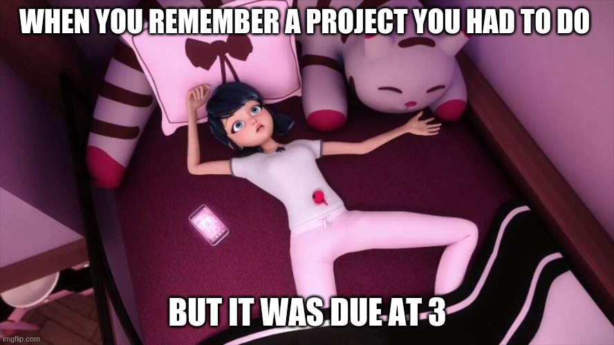 Miraculous Ladybug Marinette In bed | WHEN YOU REMEMBER A PROJECT YOU HAD TO DO; BUT IT WAS DUE AT 3 | image tagged in miraculous ladybug marinette in bed | made w/ Imgflip meme maker