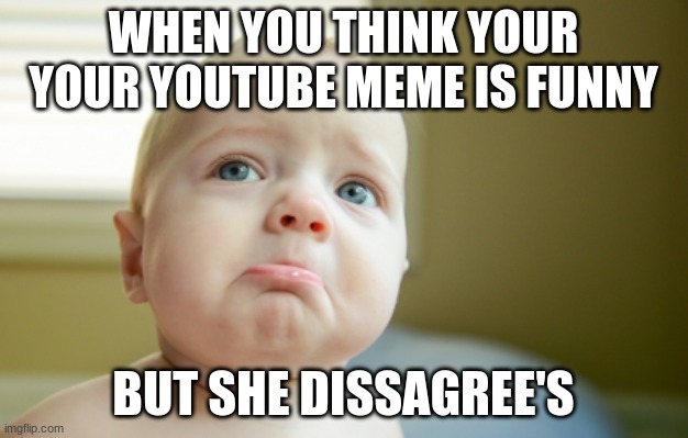 SAD | WHEN YOU THINK YOUR YOUR YOUTUBE MEME IS FUNNY; BUT SHE DISSAGREE'S | image tagged in sad face | made w/ Imgflip meme maker