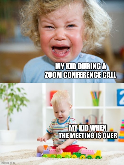 zoom video conference call meme