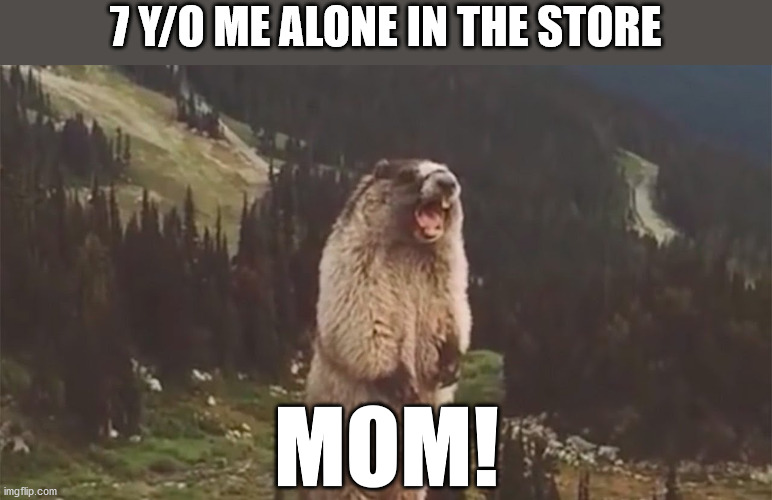 Screaming Marmot | 7 Y/O ME ALONE IN THE STORE; MOM! | image tagged in screaming marmot | made w/ Imgflip meme maker