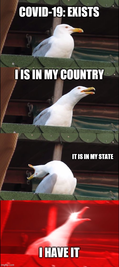 Inhaling Seagull | COVID-19: EXISTS; I IS IN MY COUNTRY; IT IS IN MY STATE; I HAVE IT | image tagged in memes,inhaling seagull | made w/ Imgflip meme maker