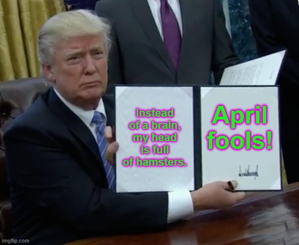 Trump Bill Signing | Instead of a brain, my head is full of hamsters. April fools! | image tagged in memes,trump bill signing | made w/ Imgflip meme maker