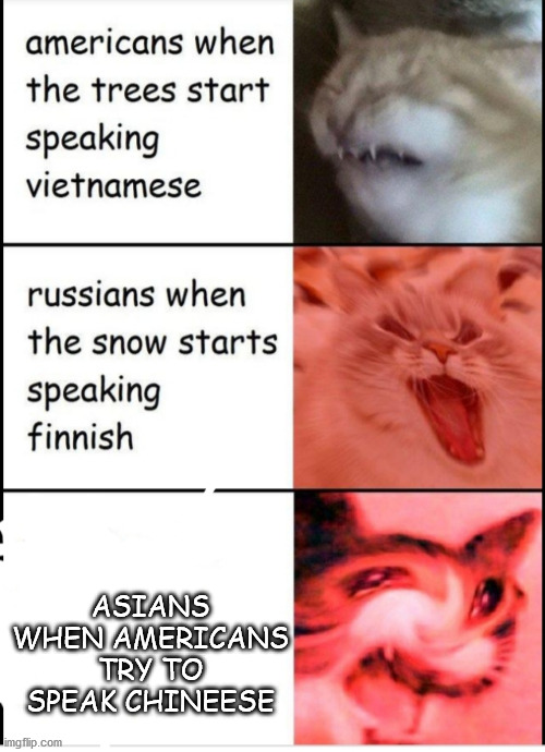 Screaming cats | ASIANS WHEN AMERICANS TRY TO SPEAK CHINEESE | image tagged in screaming cats | made w/ Imgflip meme maker