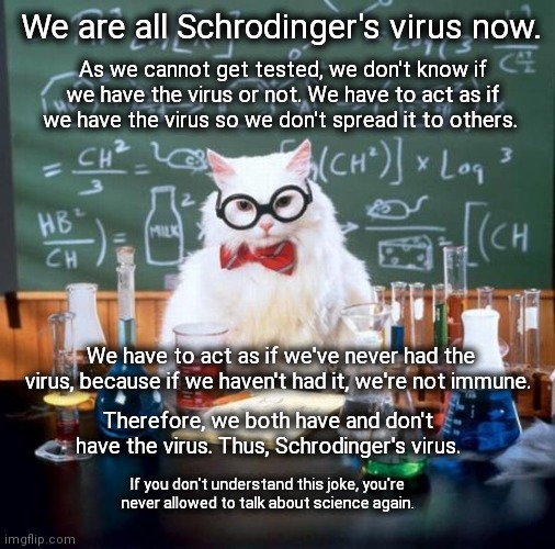 Schrodinger's Virus | We are all Schrodinger's virus now. As we cannot get tested, we don't know if we have the virus or not. We have to act as if we have the virus so we don't spread it to others. We have to act as if we've never had the virus, because if we haven't had it, we're not immune. Therefore, we both have and don't have the virus. Thus, Schrodinger's virus. If you don't understand this joke, you're never allowed to talk about science again. | image tagged in memes,chemistry cat,coronavirus,schrodinger,science,upvote | made w/ Imgflip meme maker