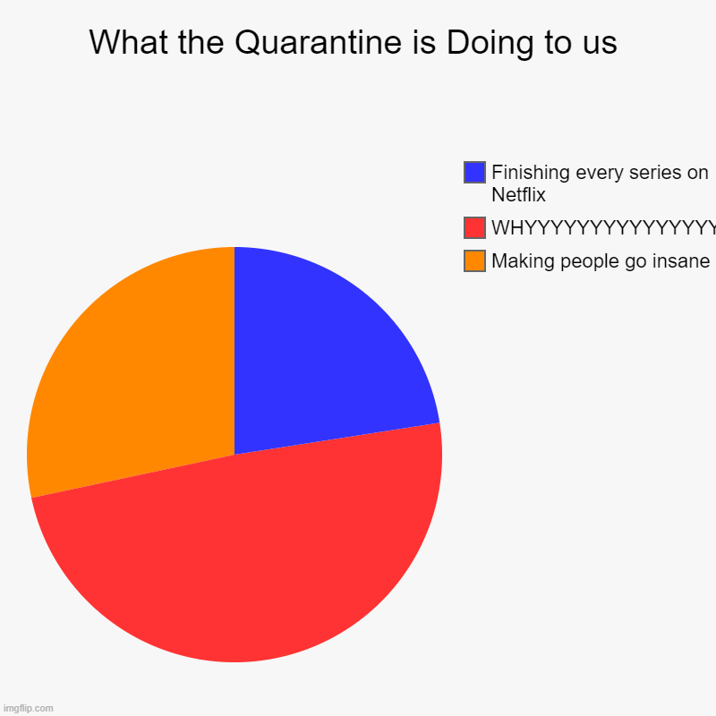 What the Quarantine is Doing to us | Making people go insane, WHYYYYYYYYYYYYYYY, Finishing every series on Netflix | image tagged in charts,pie charts | made w/ Imgflip chart maker